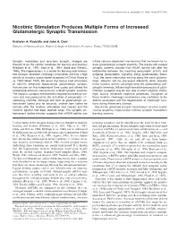 Nicotinic Stimulation Produces Multiple Forms of Increased Glutamatergic Synaptic Transmission