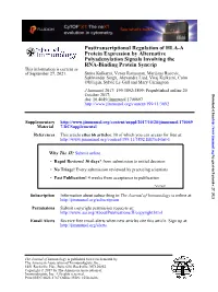 Posttranscriptional Regulation of HLA-A Protein Expression By