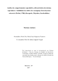 Antunes M Dr Bot Int.Pdf