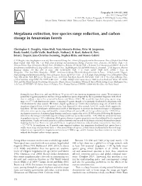 Megafauna Extinction, Tree Species Range Reduction, and Carbon Storage in Amazonian Forests