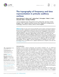 The Topography of Frequency and Time Representation in Primate Auditory