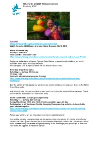 What's on at WWT Wetland Centres February 2020