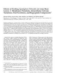 Effects of Feeding Spodoptera Littoralis on Lima Bean Leaves. I