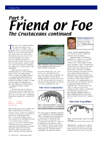 The Crustaceans Continued Part 9