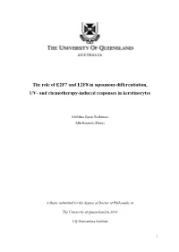 The Role of E2F7 and E2F8 in Squamous Differentiation, UV- and Chemotherapy-Induced Responses in Keratinocytes
