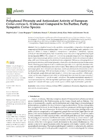 Polyphenol Diversity and Antioxidant Activity of European Cistus Creticus L. (Cistaceae) Compared to Six Further, Partly Sympatric Cistus Species