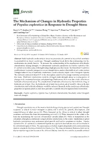 The Mechanism of Changes in Hydraulic Properties of Populus Euphratica in Response to Drought Stress