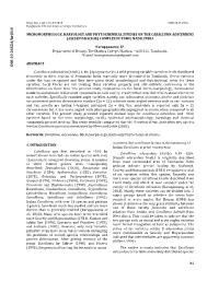 81 DOI:1 0 .2 6 5 2 4 / K Rj3