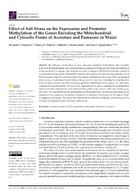 Effect of Salt Stress on the Expression and Promoter Methylation of the Genes Encoding the Mitochondrial and Cytosolic Forms of Aconitase and Fumarase in Maize