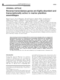 Reverse Transcriptase Genes Are Highly Abundant and Transcriptionally Active in Marine Plankton Assemblages