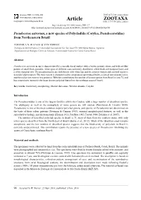 Pseudoceros Astrorum, a New Species of Polycladida (Cotylea, Pseudocerotidae) from Northeastern Brazil