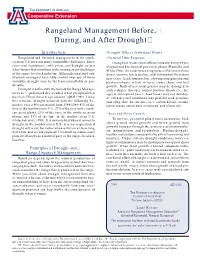 Rangeland Management Before, During, and After Drought