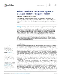 Robust Vestibular Self-Motion Signals in Macaque Posterior Cingulate Region Bingyu Liu1,2, Qingyang Tian1,2, Yong Gu1,2*