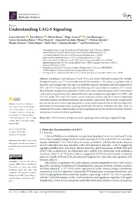 Understanding LAG-3 Signaling