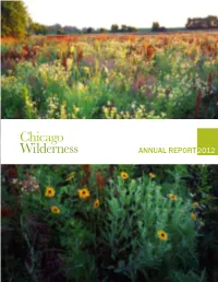 Annual Report2012