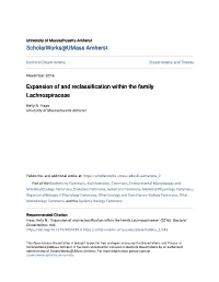 Expansion of and Reclassification Within the Family Lachnospiraceae