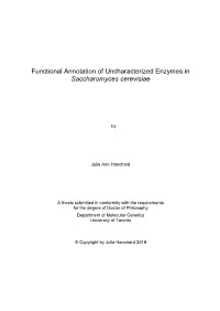 Functional Annotation of Uncharacterized Enzymes in Yeast