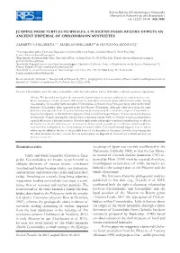Jumping from Turtles to Whales: a Pliocene Fossil Record Depicts an Ancient Dispersal of Chelonibia on Mysticetes