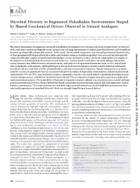 Microbial Diversity in Engineered Haloalkaline Environments Shaped by Shared Geochemical Drivers Observed in Natural Analogues