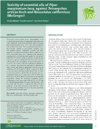Toxicity of Essential Oils of Piper Marginatum