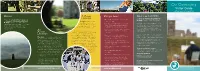 Two-Page Map and Information Guide For