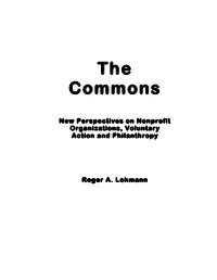 Commons New Perspectives