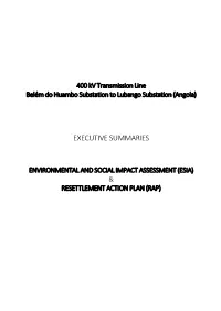 Executive Summaries