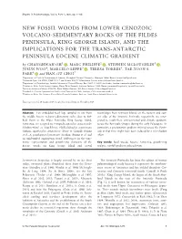New Fossil Woods from Lower Cenozoic