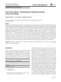 A Tip of the Iceberg—Pseudotanaidae (Tanaidacea) Diversity in the North Atlantic
