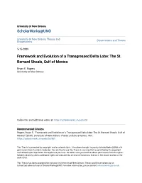 Framework and Evolution of a Transgressed Delta Lobe: the St