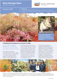 Summer08 Newsletter V6.Indd