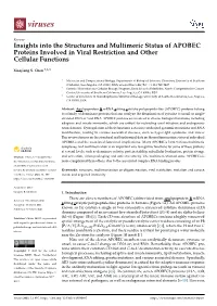 Insights Into the Structures and Multimeric Status of APOBEC Proteins Involved in Viral Restriction and Other Cellular Functions