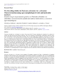 Pre-Breeding Studies in Panicum Coloratum Var. Coloratum