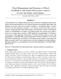 Weed Management and Dynamics of Weed Seedbank in Rabi Fennel ( Foeniculum Vulgare ) B.S