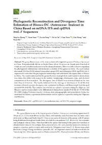 Phylogenetic Reconstruction and Divergence Time Estimation of Blumea DC