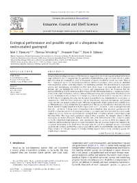 Ecological Performance and Possible Origin of a Ubiquitous but Under-Studied Gastropod