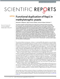 Functional Duplication of Rap1 in Methylotrophic Yeasts Alexander N