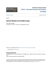 Injective Modules and Divisible Groups