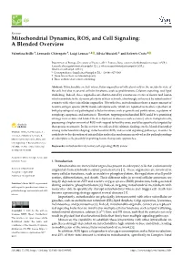 Mitochondrial Dynamics, ROS, and Cell Signaling: a Blended Overview