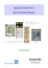 Application Evolution: Part 1.1 Basics of Coevolution Dynamics