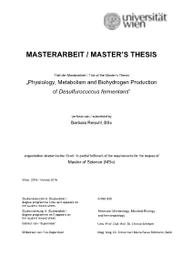 Masterarbeit / Master's Thesis