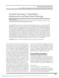 Cerebral Asymmetry: a Quantitative, Multifactorial, and Plastic Brain Phenotype