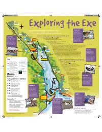 Exe Explorer Map and Info