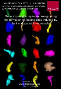 Gene Expression Reprogramming During the Formation of Feeding Sites Induced by Plant Endoparasitic Nematodes