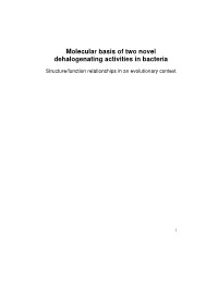 Molecular Basis of Two Novel Dehalogenating Activities in Bacteria