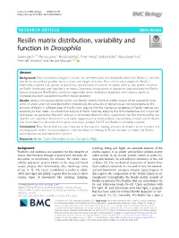 Resilin Matrix Distribution, Variability and Function in Drosophila