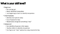 What Is Your Skill Level?