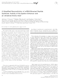 A Simplified Reconstitution of Mrna-Directed Peptide Synthesis: Activity of the Epsilon Enhancer and an Unnatural Amino Acid1