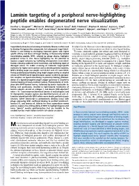 Laminin Targeting of a Peripheral Nerve-Highlighting Peptide Enables Degenerated Nerve Visualization