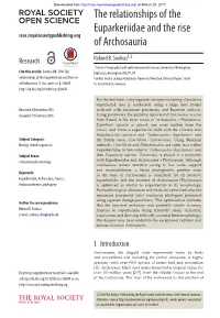 The Relationships of the Euparkeriidae and the Rise of Archosauria